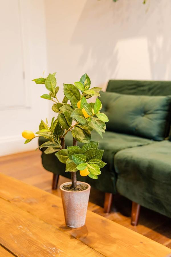 2Cq*Morden Studio Flat *Moments Away From Brighton Seafront公寓 外观 照片